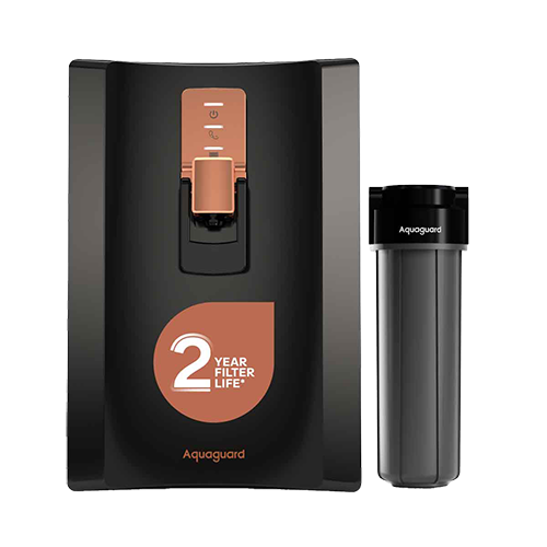 imgi_1_GWPDESR_2_X00_B00_75c604edaa Aquaguard Enrich Superio 2X UV+UF Stainless Steel Water Purifier | 2 Year Filter Life | With Mega Sediment Filter - Image 1